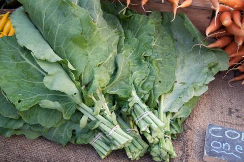 Collard Greens Credit: Tim Sackton Collard Greens Credit: Tim Sackton