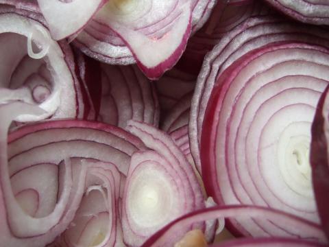 Red Burgundy Onion Red Burgundy Onion