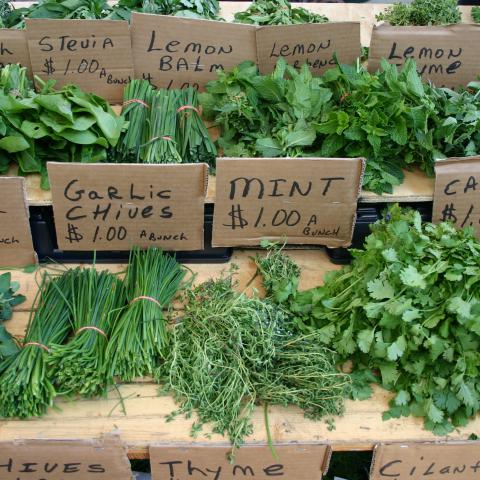 Standard Herbs Credit: Danielle Walquist Lynch Standard Herbs Credit: Danielle Walquist Lynch